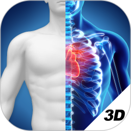 3D人体解剖图谱破解版iPhone